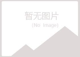 太谷县初夏咨询有限公司